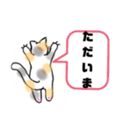 ◎家のねこ。（個別スタンプ：6）