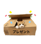 とうふぽんず（個別スタンプ：13）
