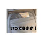 とうふぽんず（個別スタンプ：15）
