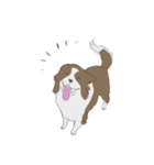 ボーダーコリー さっぱりVer（個別スタンプ：3）
