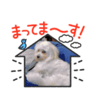 ♡オリ♡2（個別スタンプ：8）