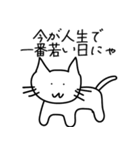 まるで教祖なネコ【思いやり・褒める】（個別スタンプ：29）