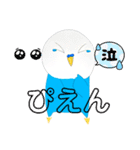 インコちゃん！です！（個別スタンプ：20）