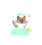 ねこのわんこスタンプ（個別スタンプ：1）