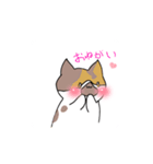 ねこのわんこスタンプ（個別スタンプ：2）