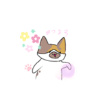 ねこのわんこスタンプ（個別スタンプ：6）