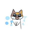 ねこのわんこスタンプ（個別スタンプ：8）