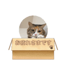 ふくにゃんスタンプ その2（個別スタンプ：4）