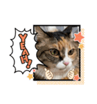 ふくにゃんスタンプ その2（個別スタンプ：9）