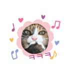 ふくにゃんスタンプ その2（個別スタンプ：13）
