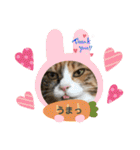 ふくにゃんスタンプ その2（個別スタンプ：15）