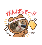 ふくにゃんスタンプ その2（個別スタンプ：22）