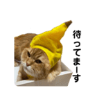 モフモフ猫のバナナスタンプ（個別スタンプ：7）