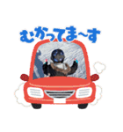 元気なふたり（個別スタンプ：34）