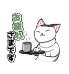 CIT人気猫の使いやすい敬語スタンプ（個別スタンプ：1）