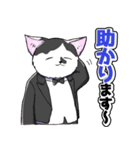 CIT人気猫の使いやすい敬語スタンプ（個別スタンプ：3）