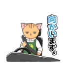 CIT人気猫の使いやすい敬語スタンプ（個別スタンプ：19）