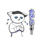 CIT人気猫の使いやすい敬語スタンプ（個別スタンプ：24）