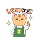 CIT人気猫の使いやすい敬語スタンプ（個別スタンプ：30）