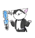 CIT人気猫の使いやすい敬語スタンプ（個別スタンプ：31）