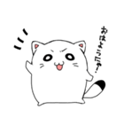 猫たぬちゃん（個別スタンプ：1）