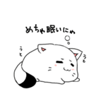 猫たぬちゃん（個別スタンプ：12）