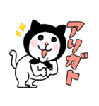 ねこにんにん（きほん）（個別スタンプ：1）