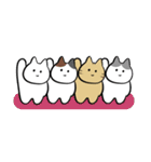 adorable cats♡猫/文字なし/シンプル（個別スタンプ：8）