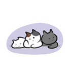 adorable cats♡猫/文字なし/シンプル（個別スタンプ：10）