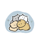 adorable cats♡猫/文字なし/シンプル（個別スタンプ：13）