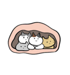 adorable cats♡猫/文字なし/シンプル（個別スタンプ：39）