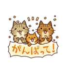 キジネコーズ（個別スタンプ：17）