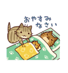 キジネコーズ（個別スタンプ：23）