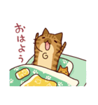 キジネコーズ（個別スタンプ：24）