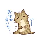 キジネコーズ（個別スタンプ：25）