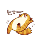 キジネコーズ（個別スタンプ：27）