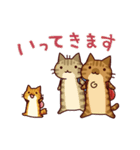 キジネコーズ（個別スタンプ：31）