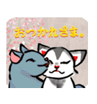 お祝い＆日常に猫と華の大人かわいい水墨画（個別スタンプ：14）