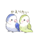 コザクラインコのあおちゃんとあもちゃん2（個別スタンプ：13）