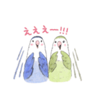 コザクラインコのあおちゃんとあもちゃん2（個別スタンプ：16）