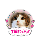 きらら嬢の日常スタンプ（個別スタンプ：12）