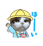 きらら嬢の日常スタンプ（個別スタンプ：14）