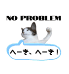 きらら嬢の日常スタンプ（個別スタンプ：23）