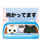 飛び出す！おめでとう【春】なかよし猫（個別スタンプ：20）