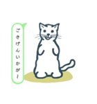 猫な日（個別スタンプ：18）