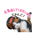 たま駅長とチームたま にゃんにゃん記念（個別スタンプ：4）