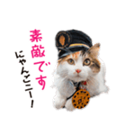 たま駅長とチームたま にゃんにゃん記念（個別スタンプ：7）