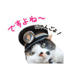 たま駅長とチームたま にゃんにゃん記念（個別スタンプ：8）