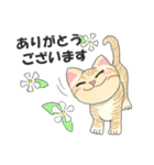 元保護猫・茶トラのチャッピー日常スタンプ（個別スタンプ：1）