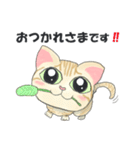 元保護猫・茶トラのチャッピー日常スタンプ（個別スタンプ：4）